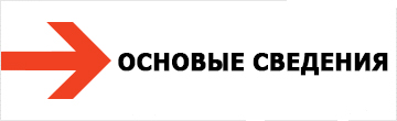 Основные сведения об организации